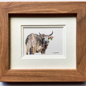 Nguni 1 - Lesley Martyn