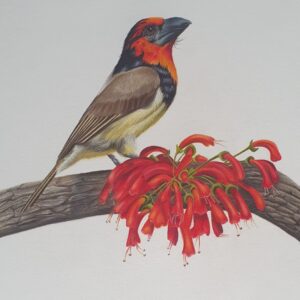 Resplendent in Red - Anita Gordon